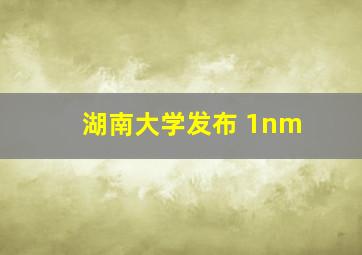 湖南大学发布 1nm